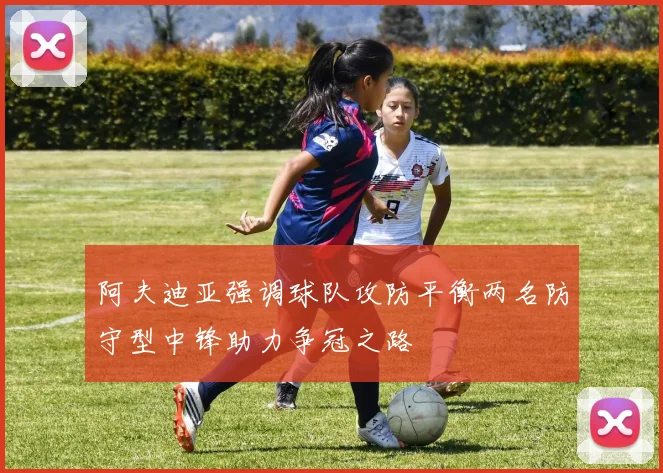 阿夫迪亚强调球队攻防平衡两名防守型中锋助力争冠之路